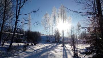 Фото номера Улучшенная вилла Виллы Cottage Viardo г. Vehkataipale 21